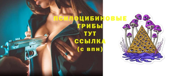 а пвп мука Алзамай