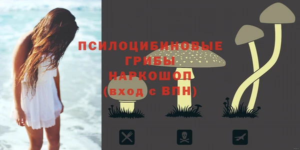 бошки Надым