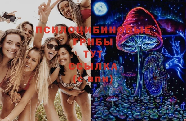 экстази Алексин