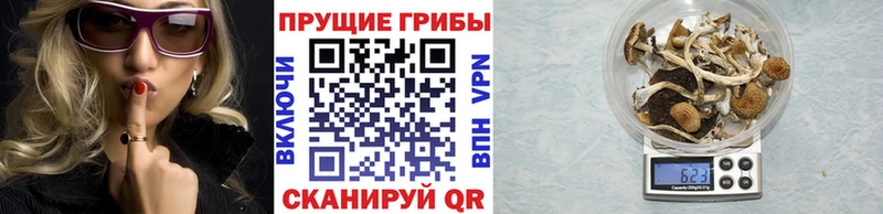 Купить закладки  Меленки  Псилоцибиновые грибы мухоморы 